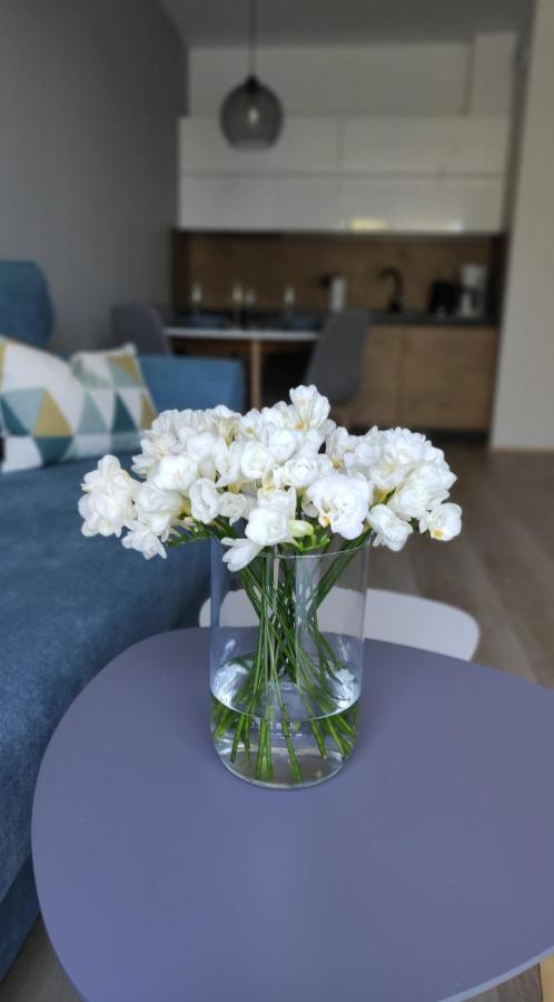 Apartament Kameleon Dźwirzyno Kültér fotó